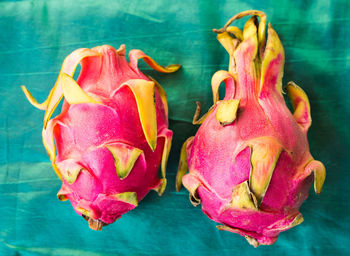 Close-up of pink fruits on plant