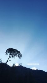 Low angle view of silhouette trees against clear sky