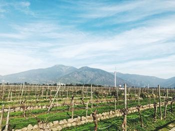 Scenic view of agricultural field and mountains against sky