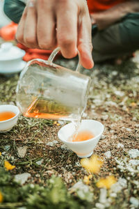 Cropped hand of man pouring tea in cup