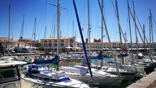 Sailboats moored in harbor