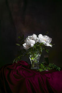 Close-up of white rose on table
