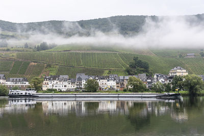 Frachtschiff auf der mosel bei zell, rheinland-pfalz, deutschland