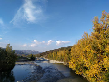 Scenic view of river amidst trees against sky