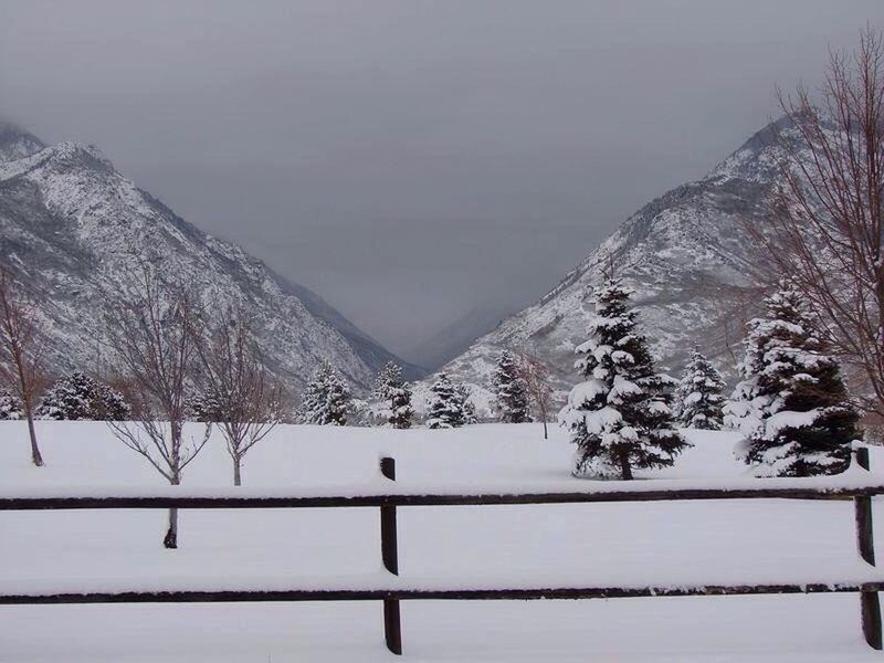 snow, winter, cold temperature, season, weather, covering, frozen, tranquil scene, landscape, tranquility, bare tree, nature, tree, white color, beauty in nature, covered, scenics, snow covered, mountain, field