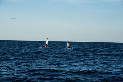 People swimming in sea against sky