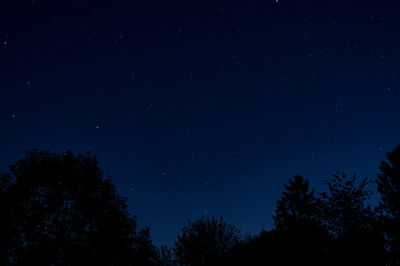 Low angle view of silhouette trees against blue sky at night