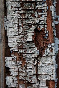 Full frame shot of brick wall