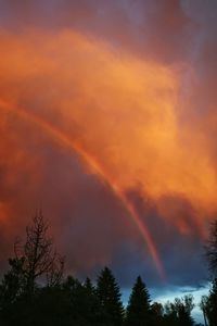 Low angle view of cloudy sky at sunset