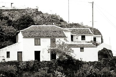 Houses in a field