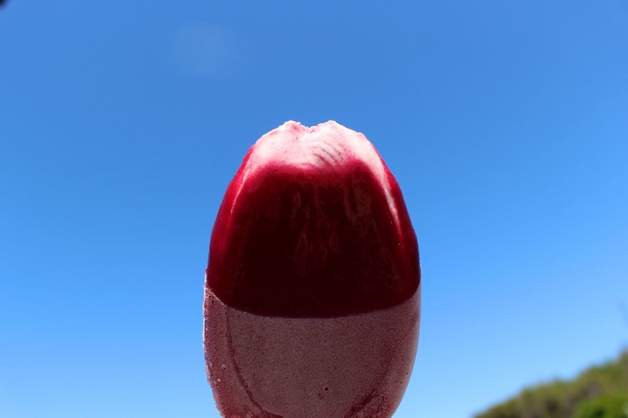 CLOSE-UP OF STRAWBERRY AGAINST CLEAR BLUE SKY