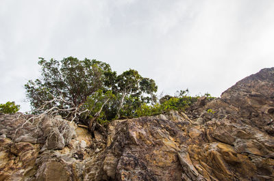 Low angle view of rock formation against sky