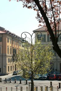 Street by trees against buildings in city