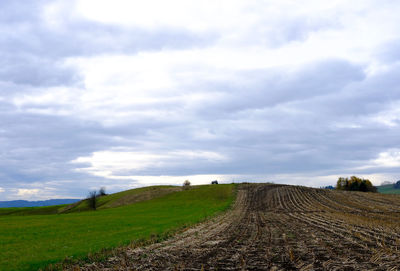 Agricultural field against sky
