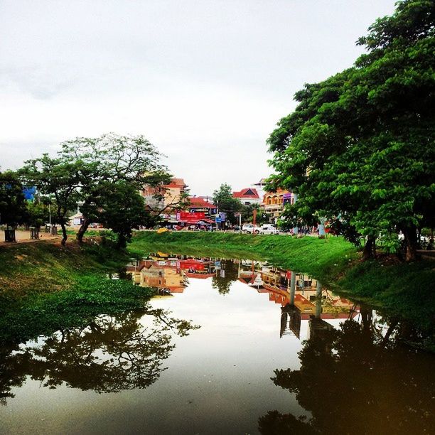 tree, water, reflection, architecture, built structure, building exterior, sky, waterfront, canal, house, standing water, growth, green color, nature, lake, tranquility, pond, river, tranquil scene, day