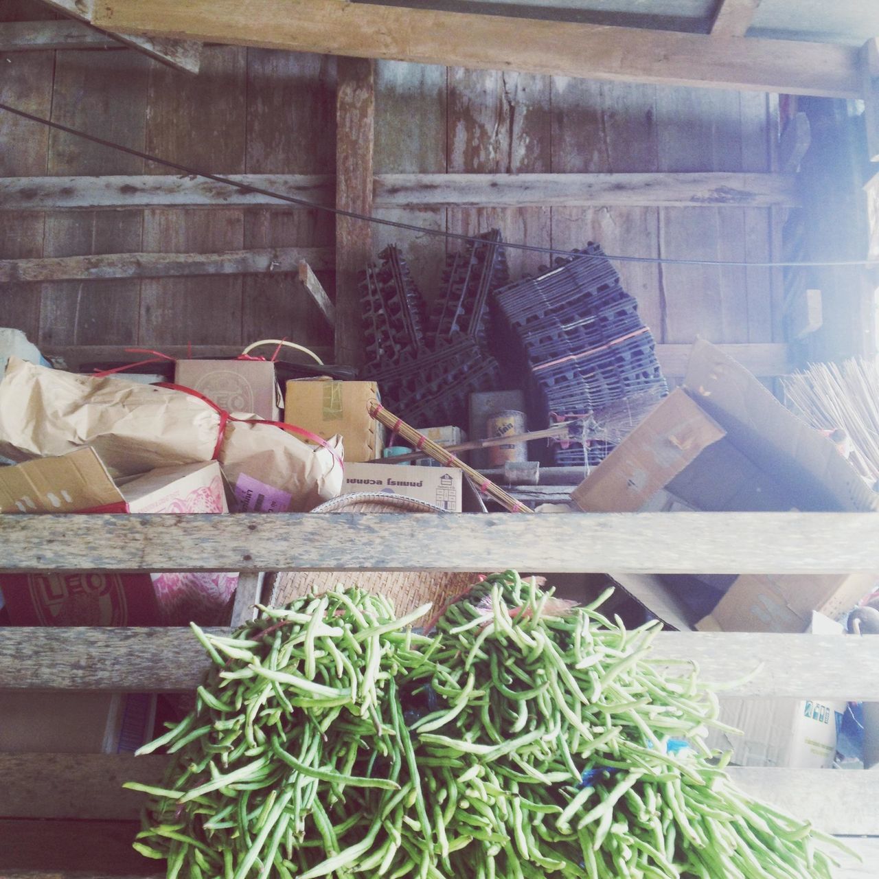 indoors, plant, wood - material, vegetable, potted plant, freshness, food, no people, house, healthy eating, leaf, day, basket, green color, growth, food and drink, high angle view, close-up, front or back yard, wooden