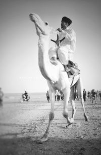 Man riding horse on beach against sky