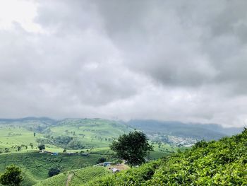 Scenic view of agricultural field against sky