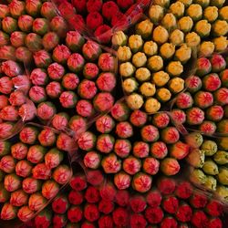 Close-up of flowers for sale