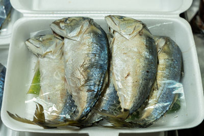 High angle view of fish in plate