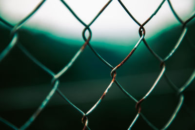 Iron fence with rust with green nuances