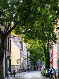 Street amidst trees and buildings in city