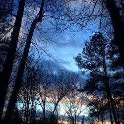 Low angle view of bare trees against sky