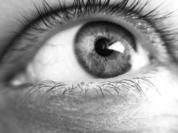 Close-up portrait of human eye