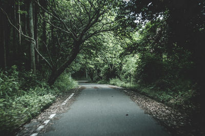 Road passing through trees