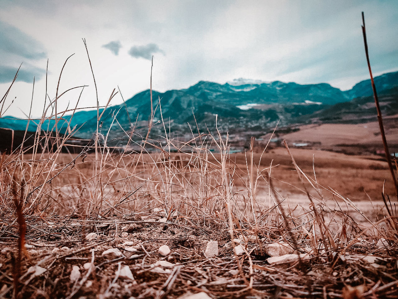 sky, nature, cloud - sky, day, no people, tranquility, land, environment, plant, landscape, beauty in nature, tranquil scene, mountain, dry, scenics - nature, focus on foreground, non-urban scene, outdoors, field, selective focus, dead plant, stick - plant part