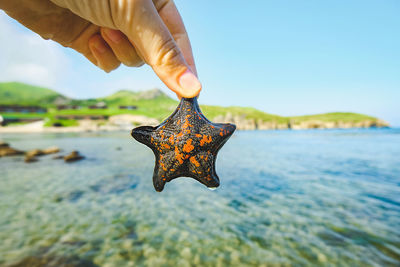 Hand holds small cute sea starfish on background of blurred tropical sea