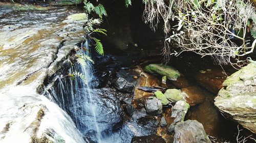 Stream flowing through rocks