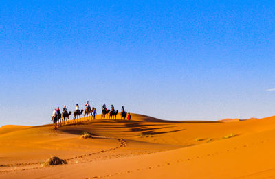 Group of people riding in desert against clear blue sky