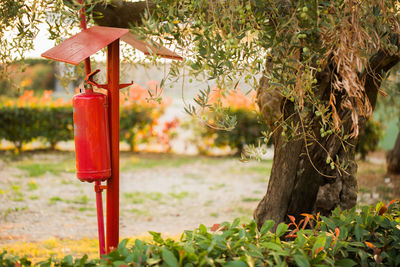 Red fire extinguisher by tree