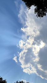 Low angle view of trees against blue sky