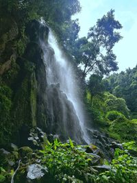 Scenic view of waterfall in forest