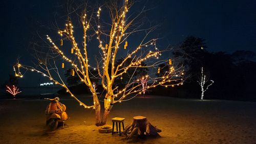 People by illuminated tree against sky at night