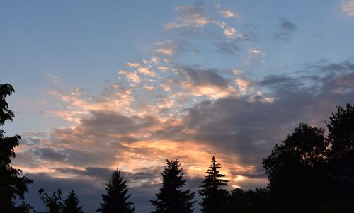 Low angle view of silhouette trees against sky during sunset