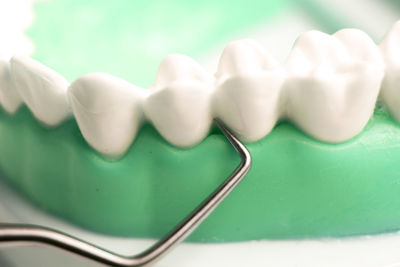 Close-up of artificial teeth