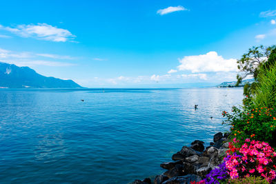 Scenic view of sea against blue sky