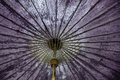 Low angle view of purple parasols
