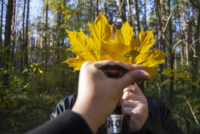 Close-up of people making anthropomorphic face with hand and maple leaf in forest during autumn