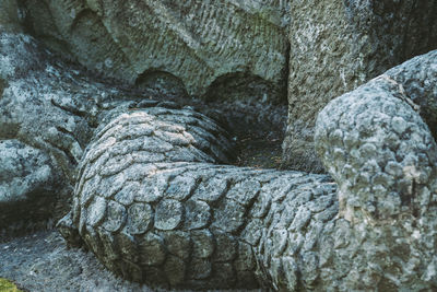 Close-up of animal sculpture