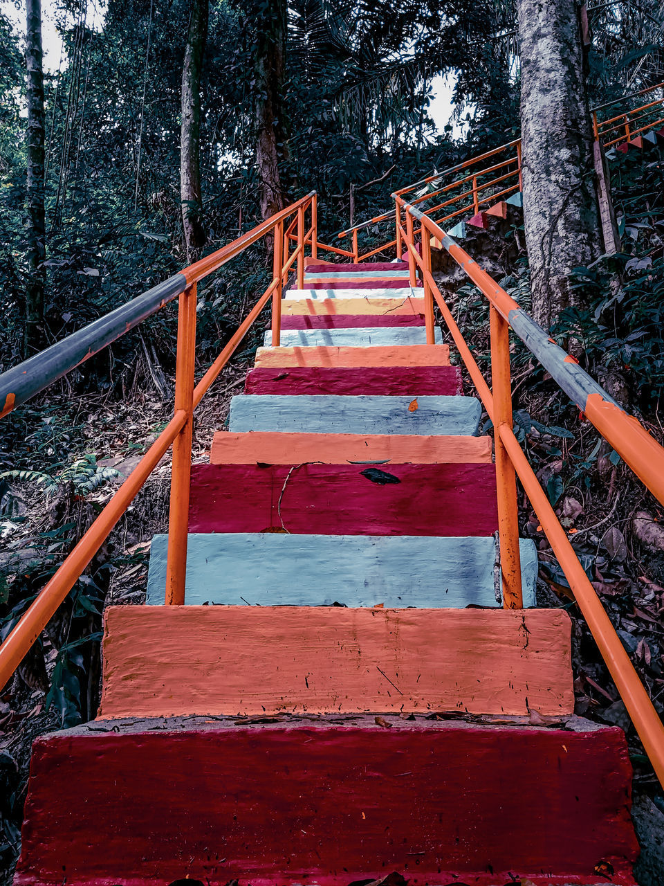 STAIRCASE LEADING TO FOREST