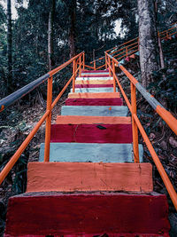 Wooden footbridge in forest