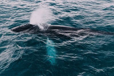 High angle view of sea