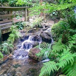 River flowing through rocks