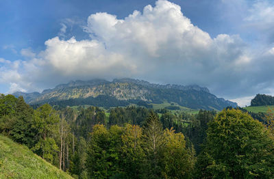 Panoramic view of trees and mountains against sky