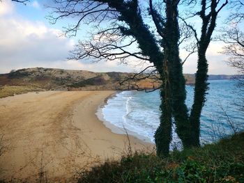 Scenic view of beach against sky