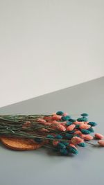 High angle view of plants on table